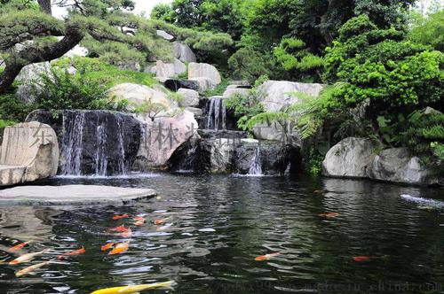 假山鱼池