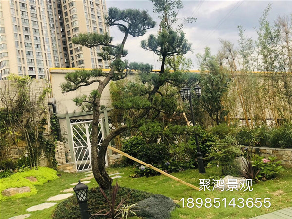 小区花园设计