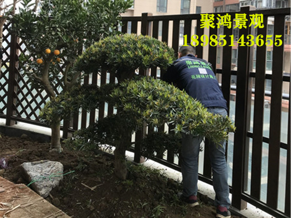 贵州花园设计