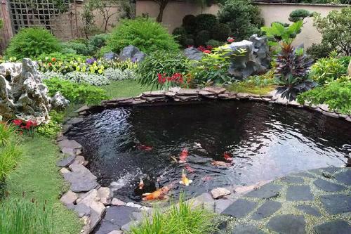 冬季庭院鱼池这样设计更加有灵性