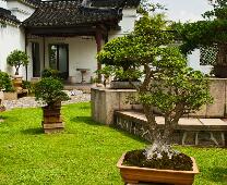 屋顶花园对建筑的要求