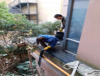 假山鱼池设计要注意的几个方面